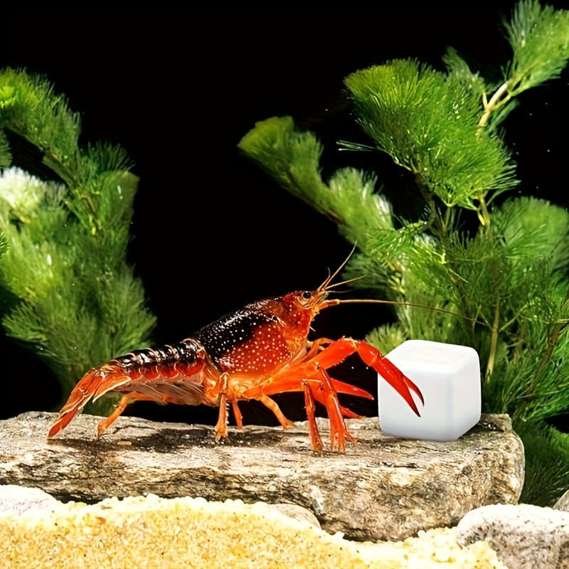 Aquarium Plant Seeds - 6 Pcs Fish Tank Calcium Block