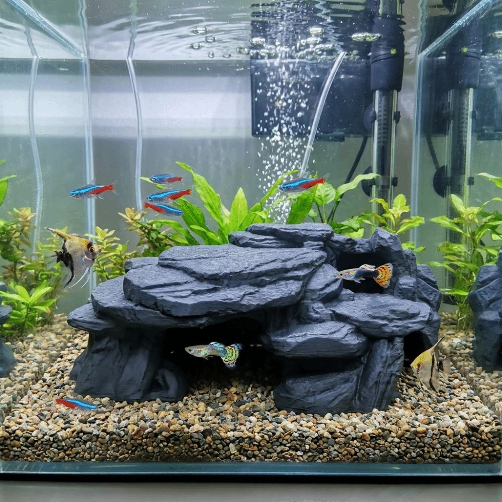 3D Printing Fish Tank Rockery  - Aquasoil Substrate review and price