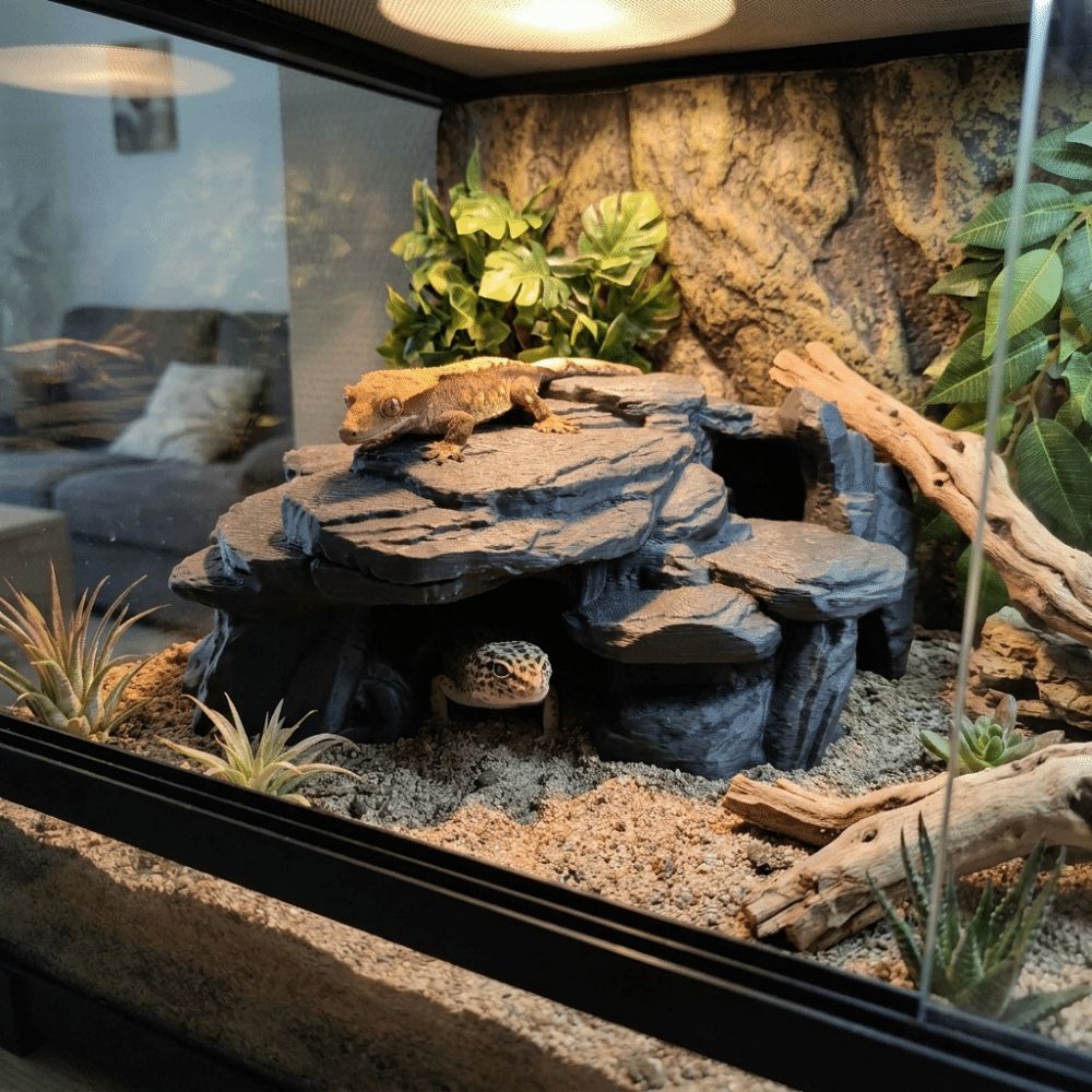 3D Printing Fish Tank Rockery  - Aquasoil Substrate review and price