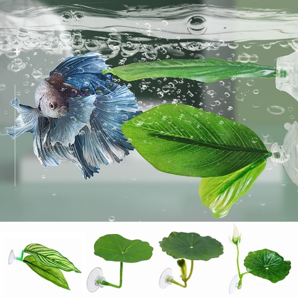 Plastic Betta Fish Rest Leaf S - Aquasoil Substrate review and price