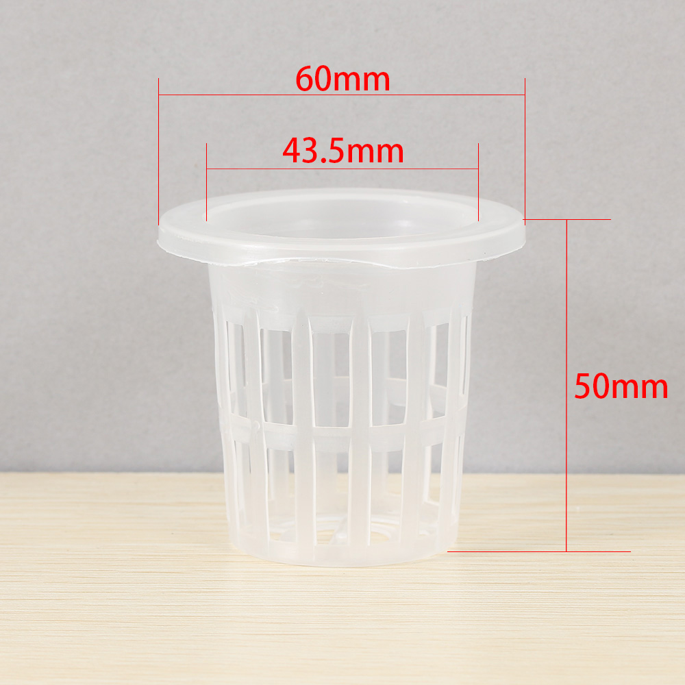 10/50pcs Hot sell Aquarium Cul - Aquarium Plant Seeds review and price