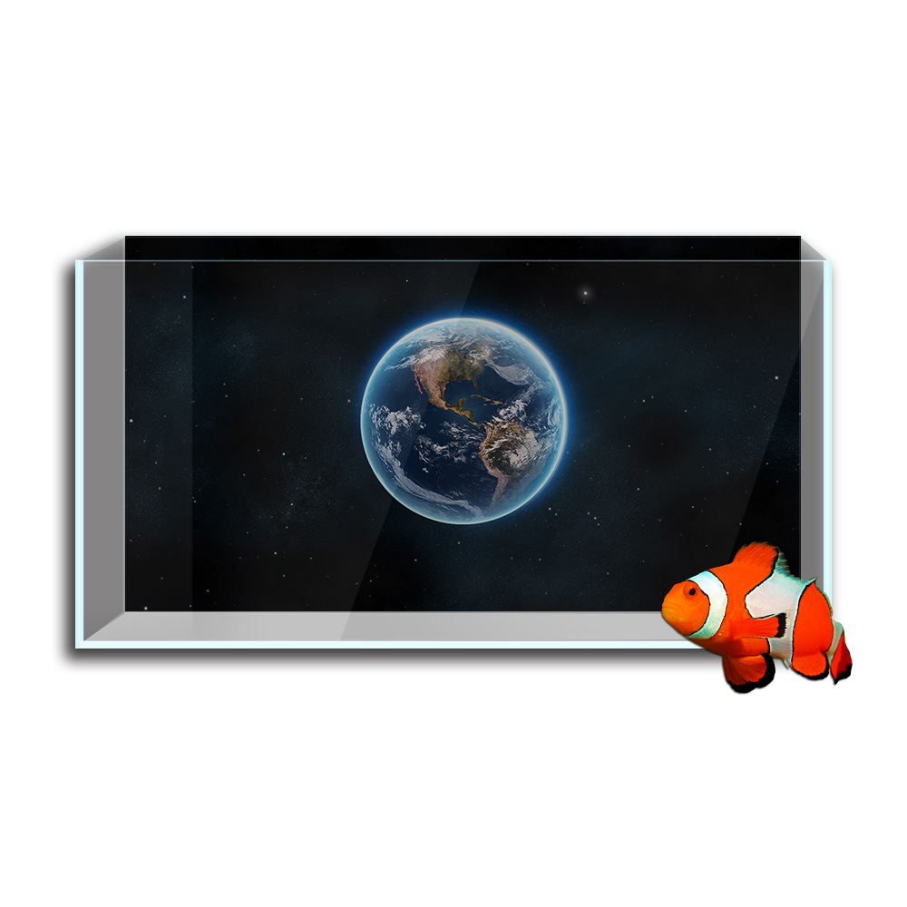 Aquarium Fish Tank  Background - Aquarium Planet review and price