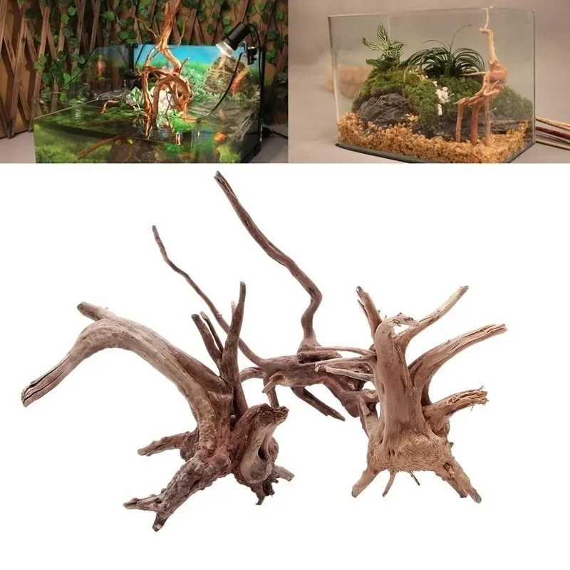 Natural Tree Trunk Driftwood A - Aquarium Plant Seeds review and price