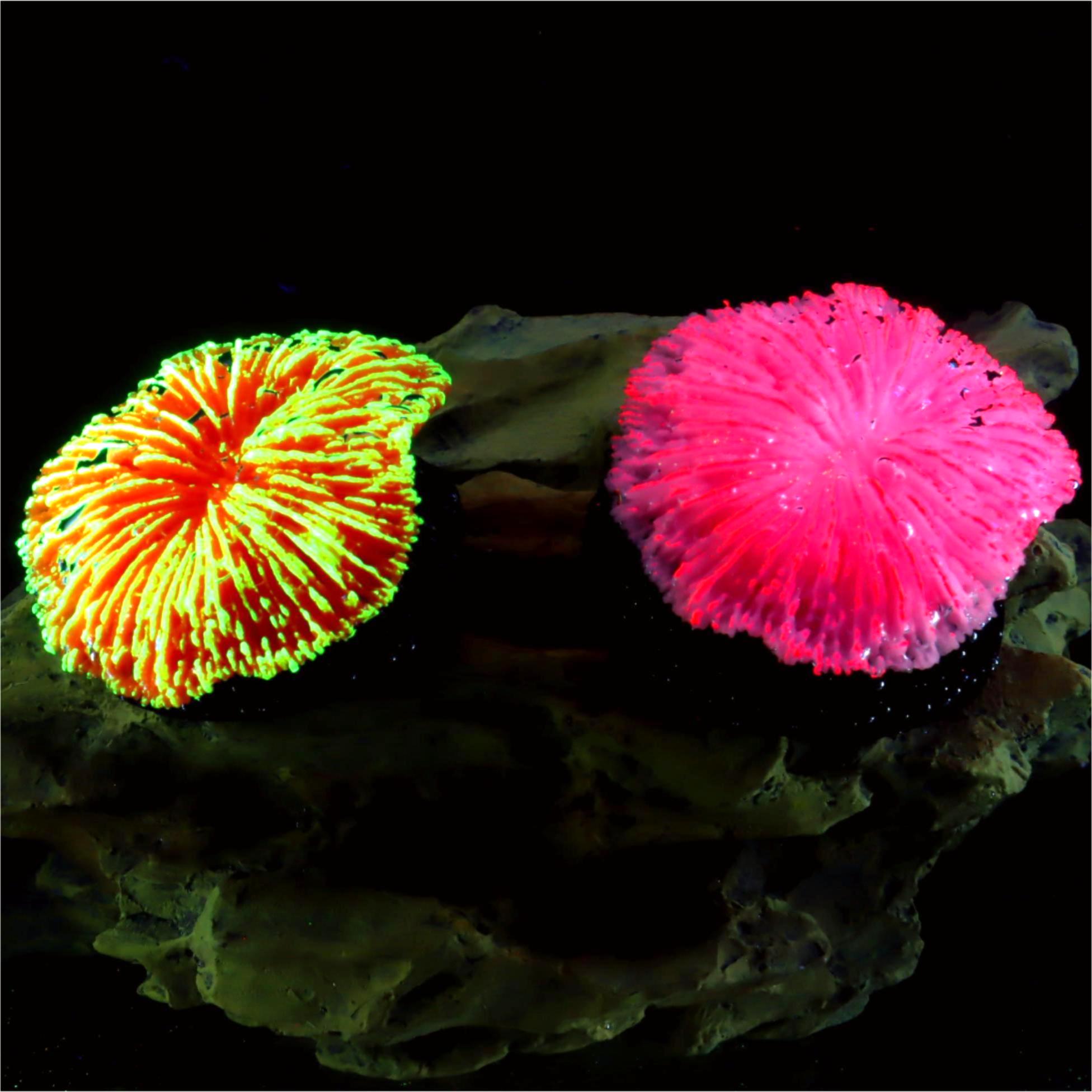 1 Piece Aquarium Decoration Sa - Aquarium Planet review and price