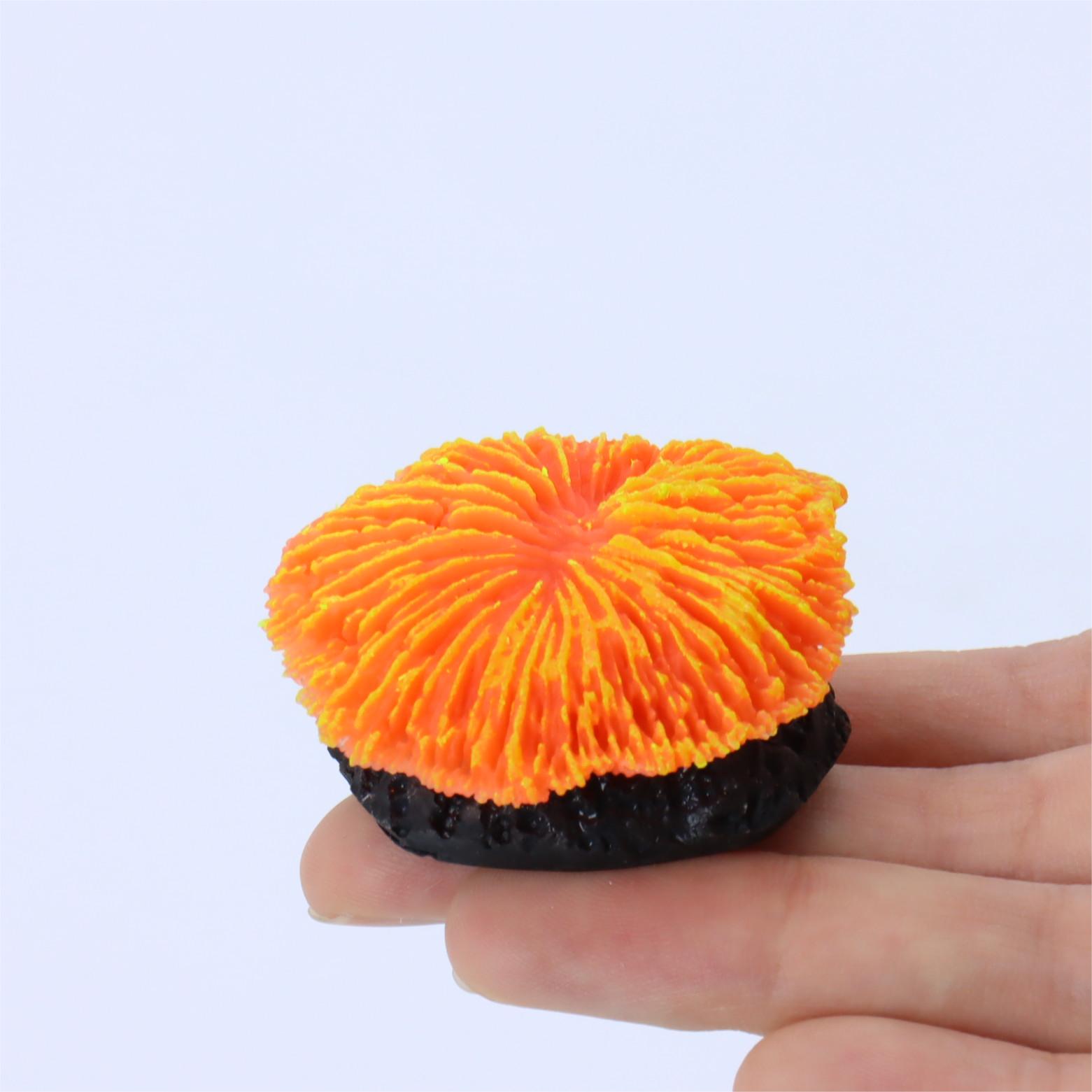 1 Piece Aquarium Decoration Sa - Aquarium Planet review and price