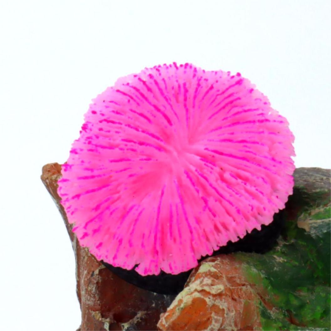 1 Piece Aquarium Decoration Sa - Aquarium Planet review and price