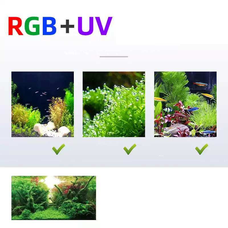 Week Aqua L Series WRGB UV Ful - Aquarium Plant Light Spectrum review and price