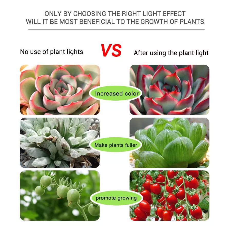LED5V Light Bar Flower Aquariu - Planted Aquarium Hours review and price