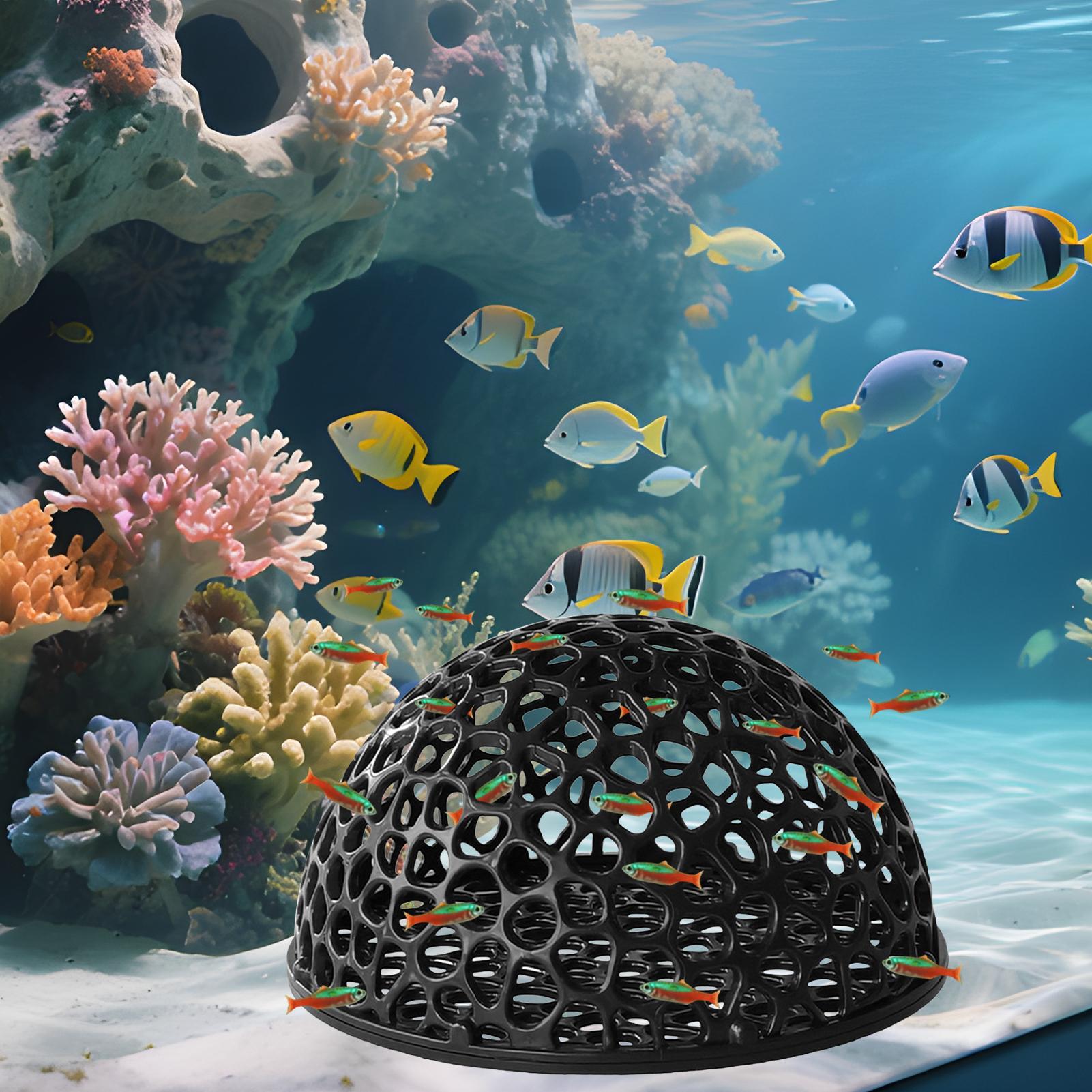 Aquarium Hiden Cave Shelter fo - Aquasoil Substrate review and price