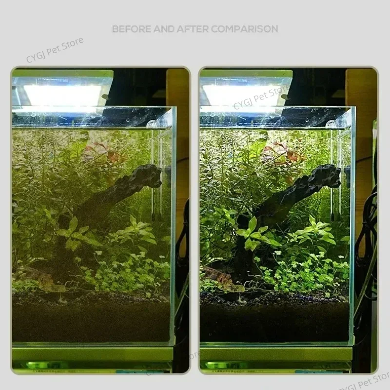 Fish Tank Cleaning Tool Flat S - Aquasoil Substrate review and price