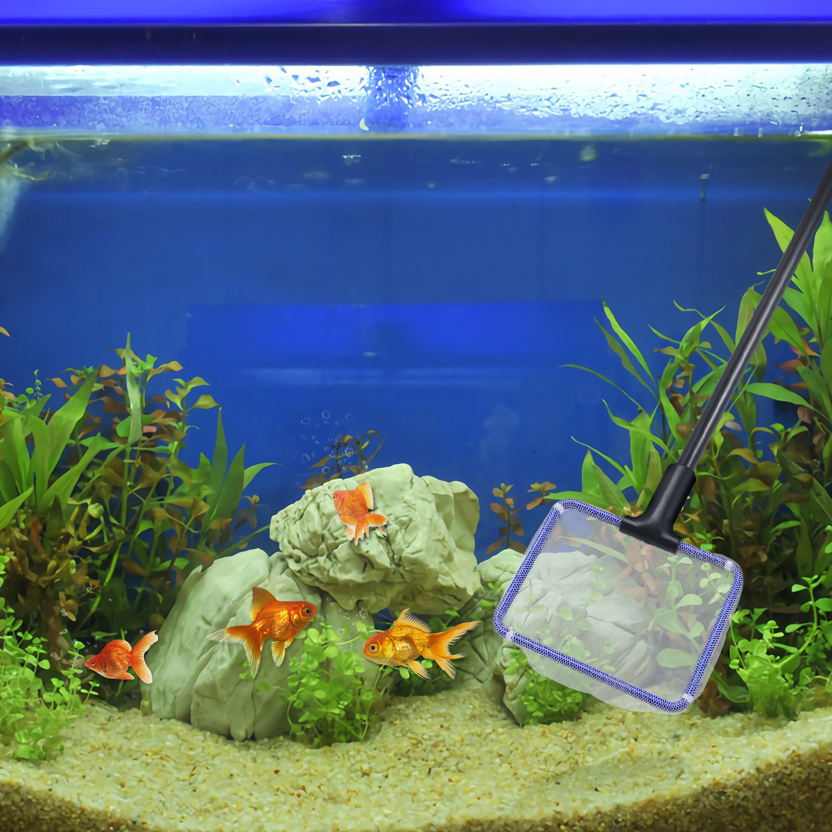 5 in 1 Aquarium Fish Tank Clea - Planted Aquarium Cleaning Kit review and price
