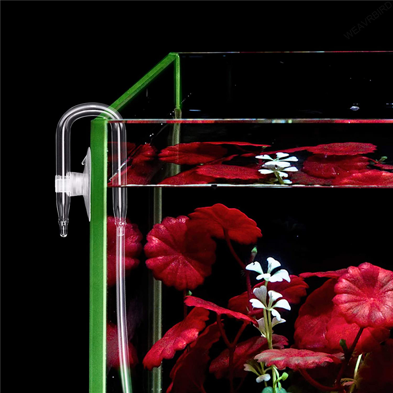 Aquarium U Shaped Air Pipe Con - Aquarium Lily Pipe review and price