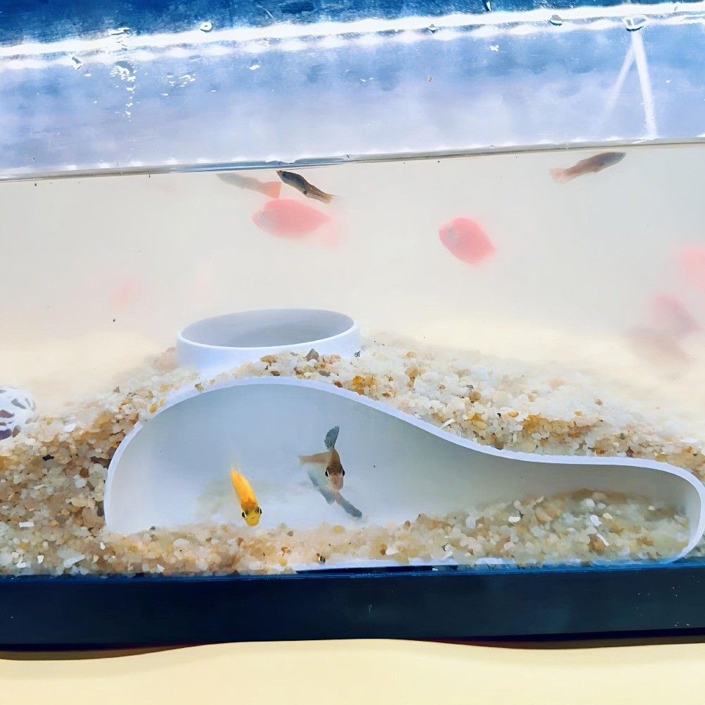 3D Printing Aquarium Tunnel Ca - Aquarium Plant Seeds review and price