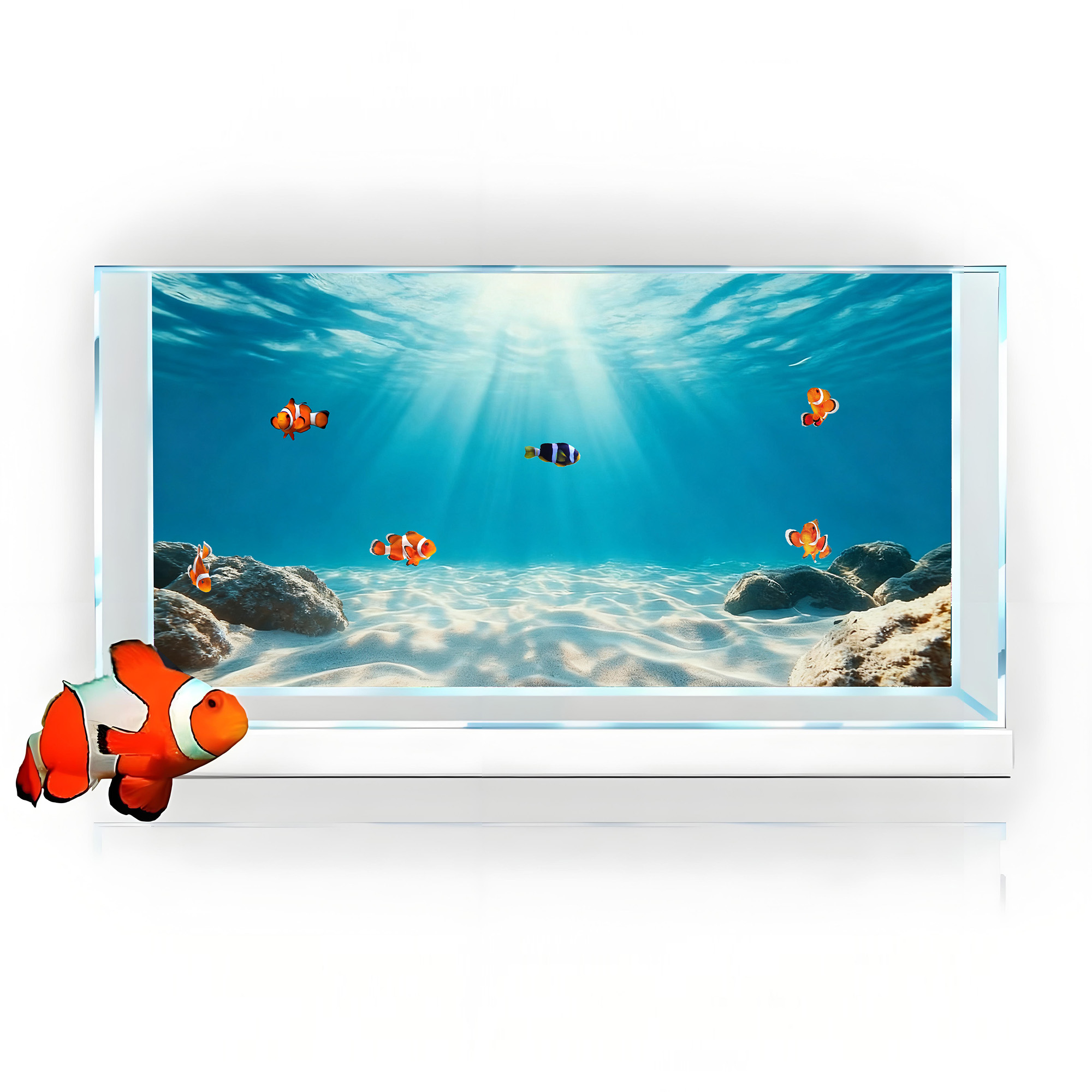 Blue Sea Clear Sand, Fish Tank - Aquarium Planet review and price