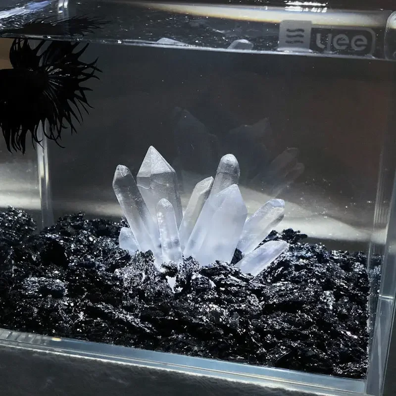 Creative Betta Tank Decor Clea - Aquarium Planet review and price