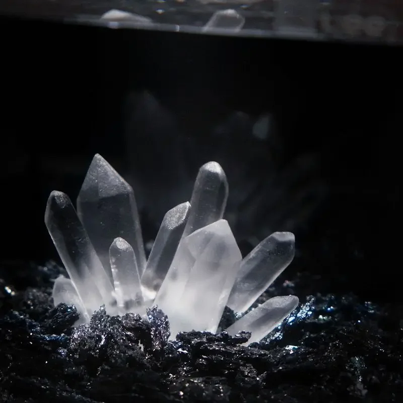 Creative Betta Tank Decor Clea - Aquarium Planet review and price
