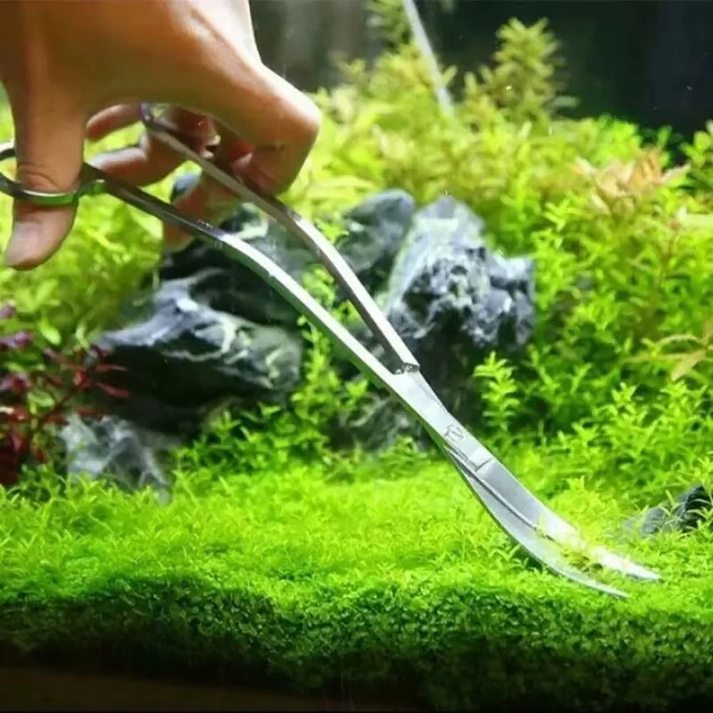 1Pcs Stainless Steel Aquarium  - Planted Aquarium Cleaning review and price