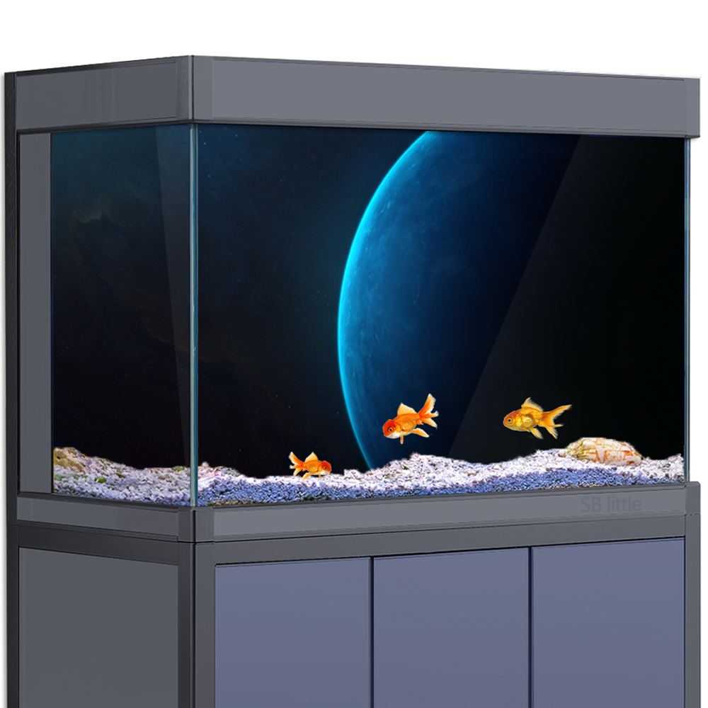 Aquarium Background Sticker -  - Aquarium Planet review and price