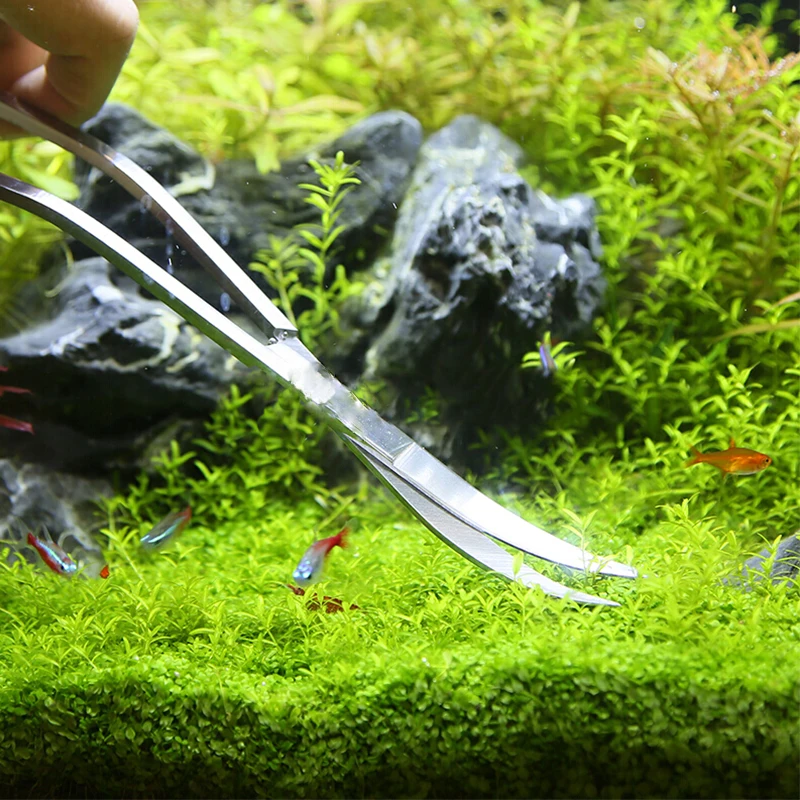 Aquarium Scissor Tools Fish Ta - Aquasoil Substrate review and price