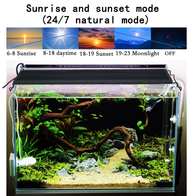 LED Fish Tank Light Full Spect - Aquarium Plant Light Spectrum review and price