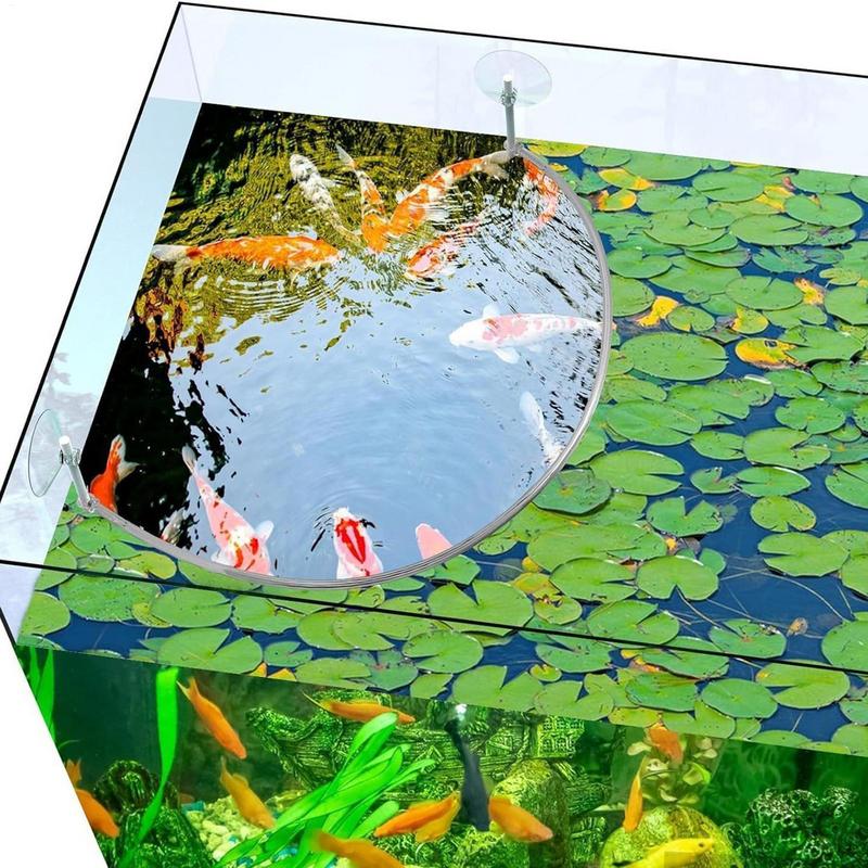 Floating Plant Corral Fish Fee - Planted Aquarium Equipment review and price
