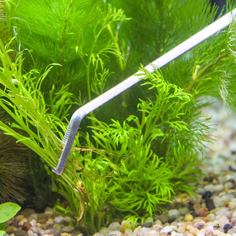 Professional Aquarium Maintena - Planted Aquarium Cleaning Kit review and price