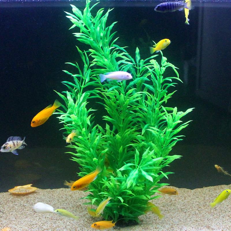 50CM Artificial Fish Tank Rare - Planted Aquarium Equipment review and price