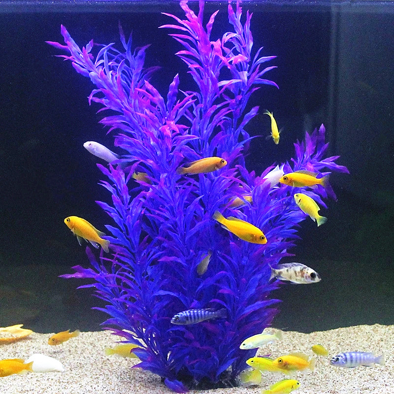50CM Artificial Fish Tank Rare - Planted Aquarium Equipment review and price