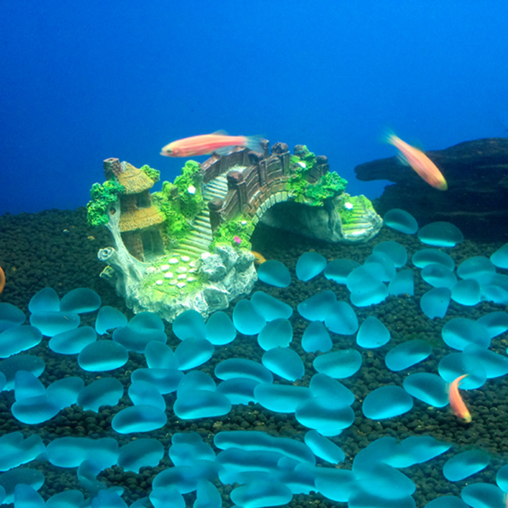 Aquarium Accessories Arbor Tre - Aquasoil Substrate review and price