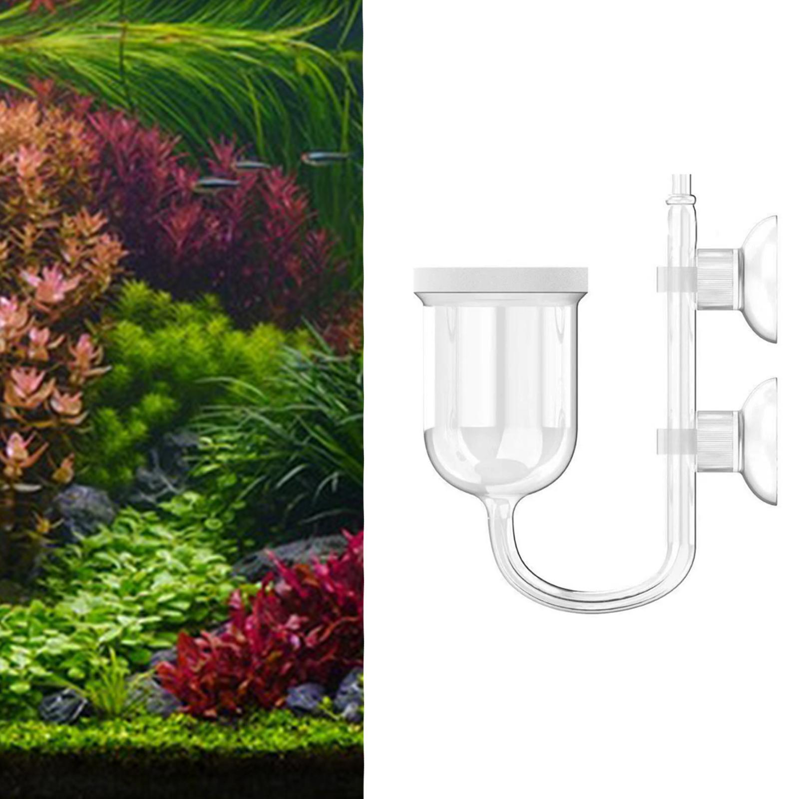 Glass CO2 Diffuser Clear with  - Planted Aquarium Co2 System review and price