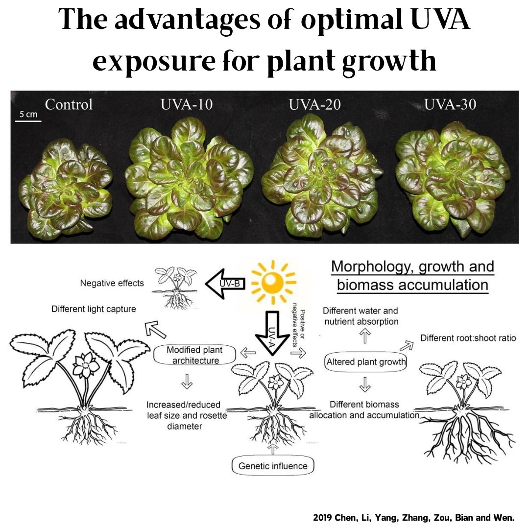 Week Aqua M Series RGB+UV Wate - Planted Aquarium Uv Light review and price