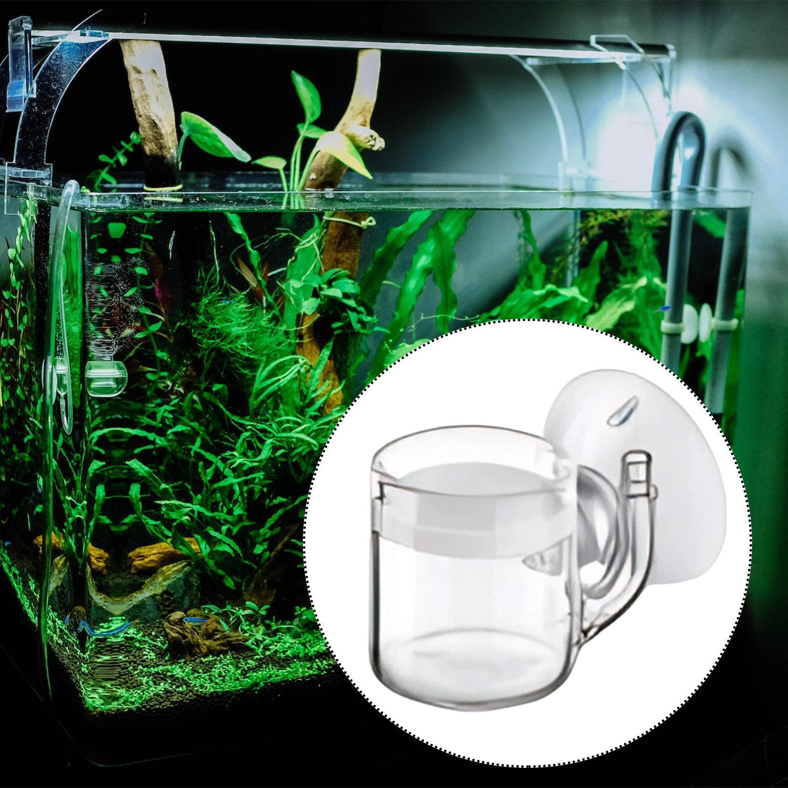 CO2 Diffuser Flat Bottom Silen - Planted Aquarium Cleaning review and price
