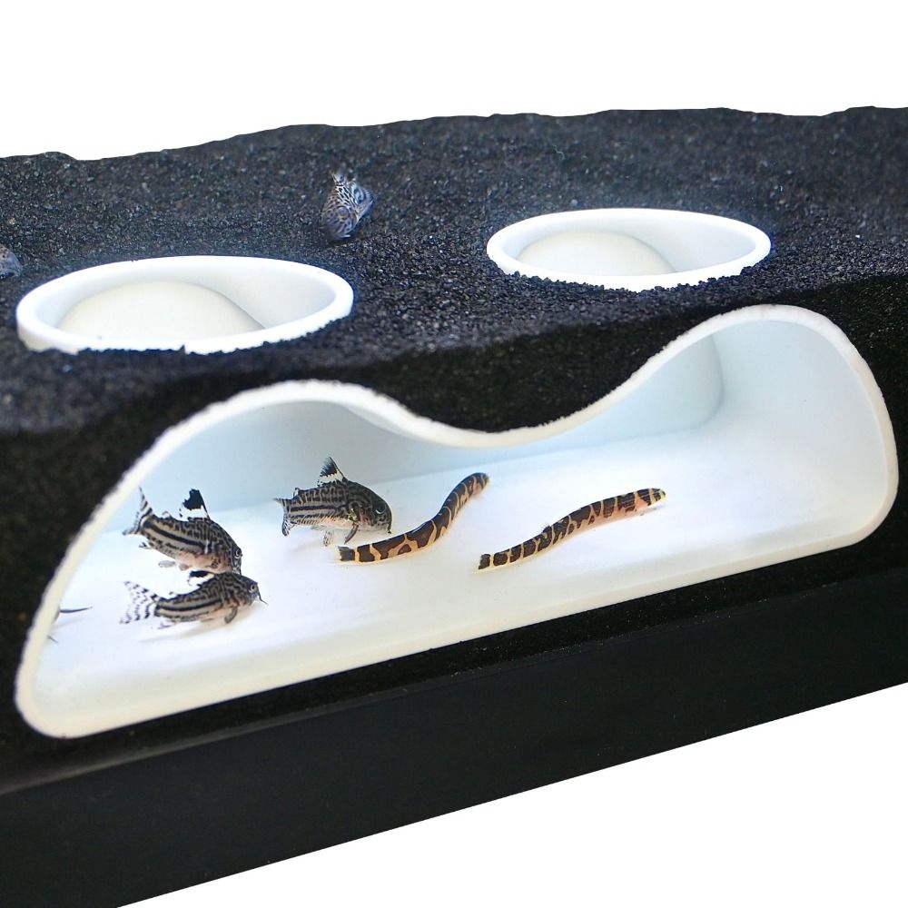 Multifunctional Aquarium Under - Aquarium Planet review and price