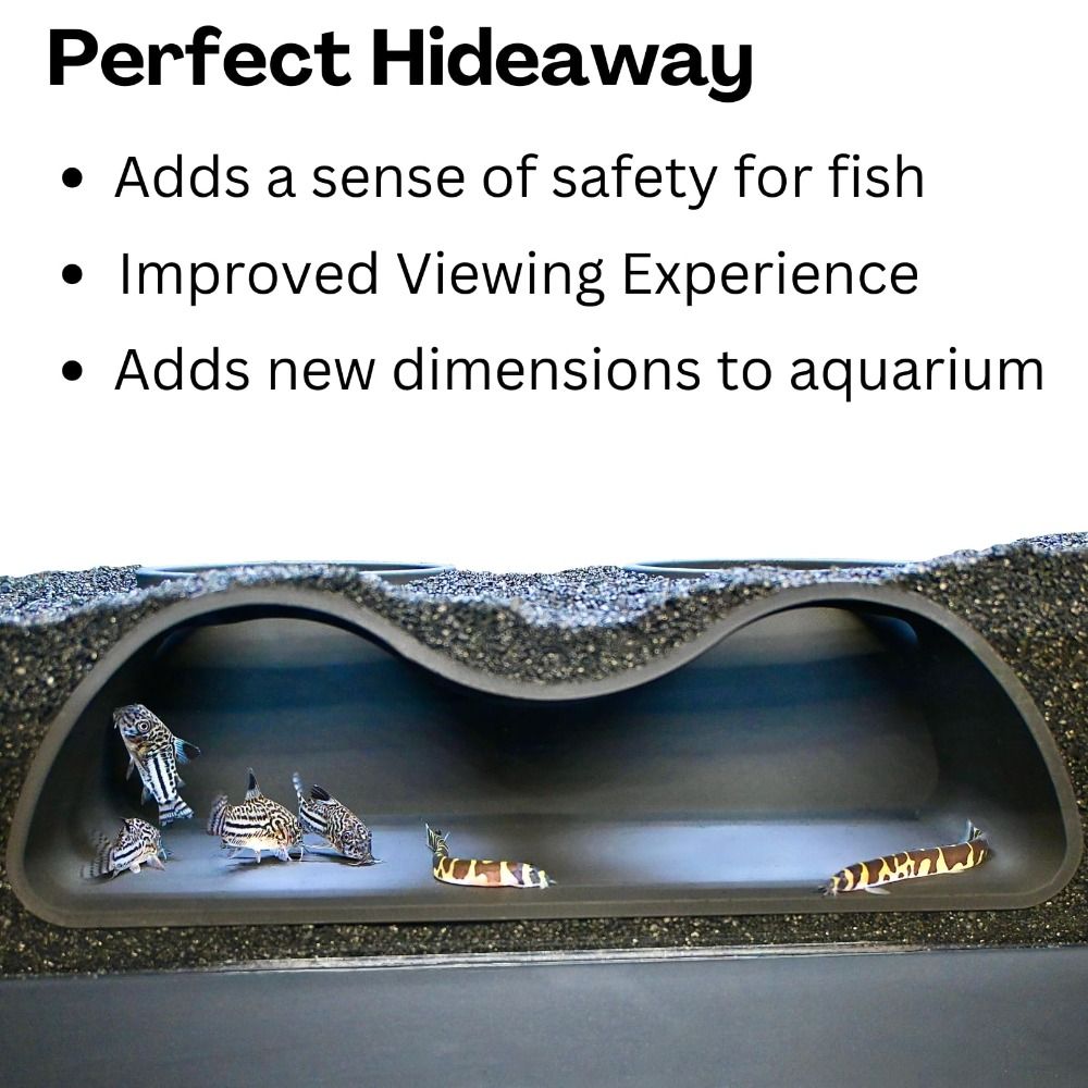 Multifunctional Aquarium Under - Aquarium Planet review and price