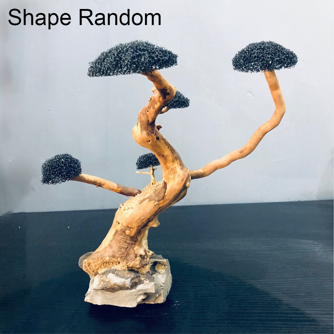 Aquarium Decoration Moss Drift - Aquarium Plant Seeds review and price