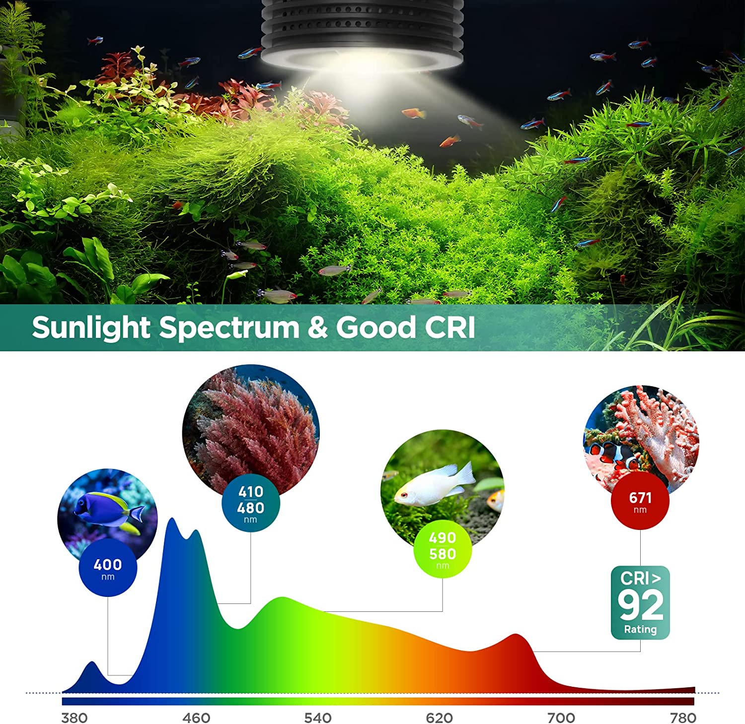 Lominie Asta 20 Freshwater 18W - Planted Aquarium Uv Light review and price