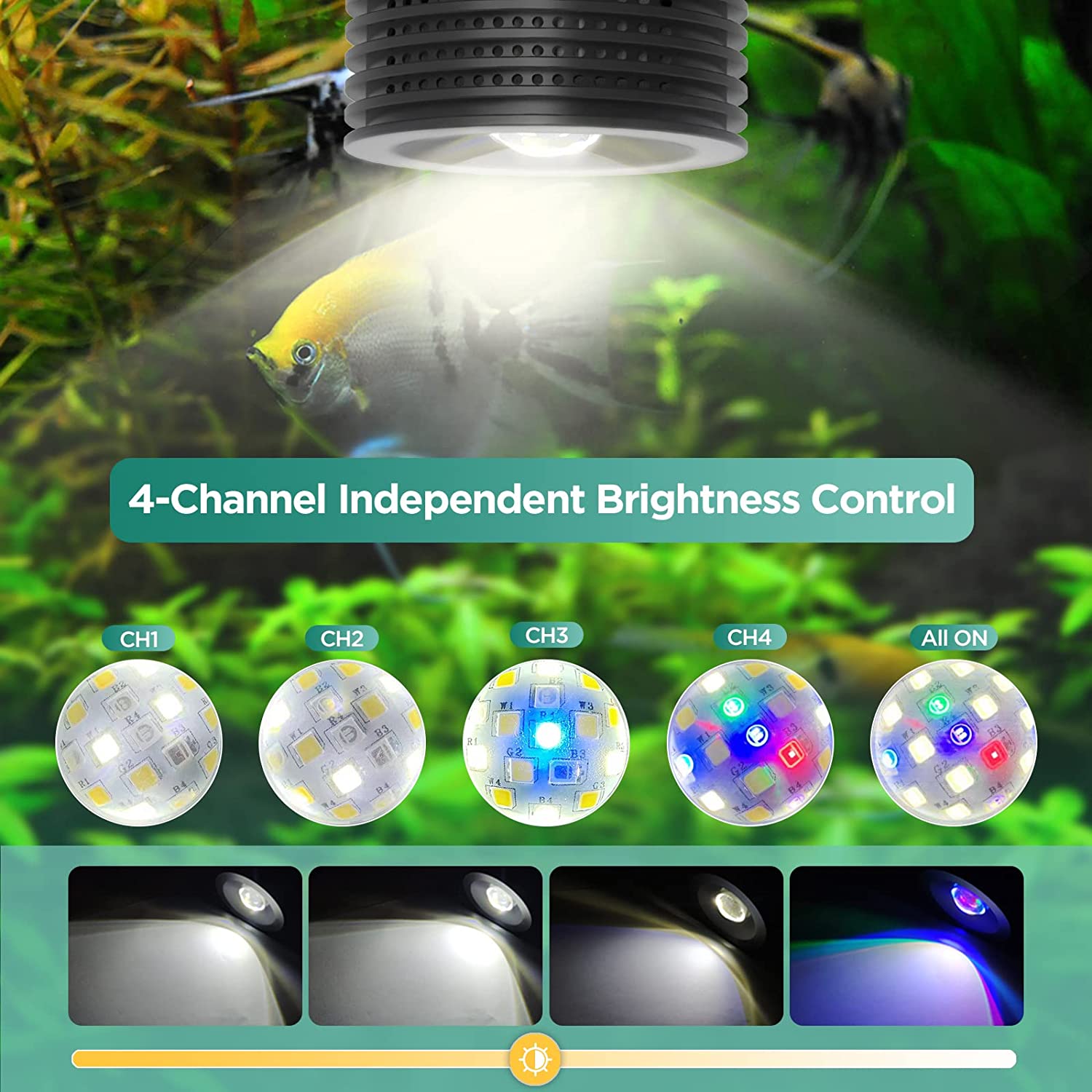 Lominie Asta 20 Freshwater 18W - Planted Aquarium Uv Light review and price