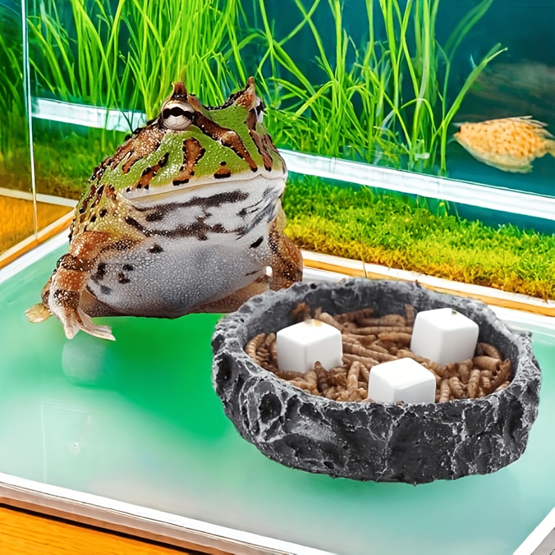 6 Pcs Fish Tank Calcium Block  - Aquarium Plant Seeds review and price