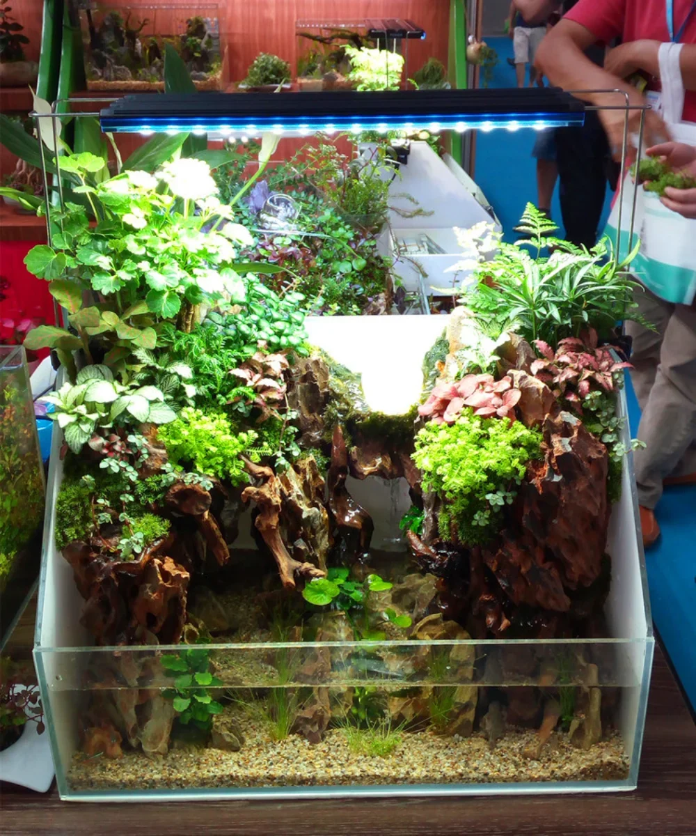 Water Plant Lamp,LED Fish Tank - Aquarium Plant Light Spectrum review and price